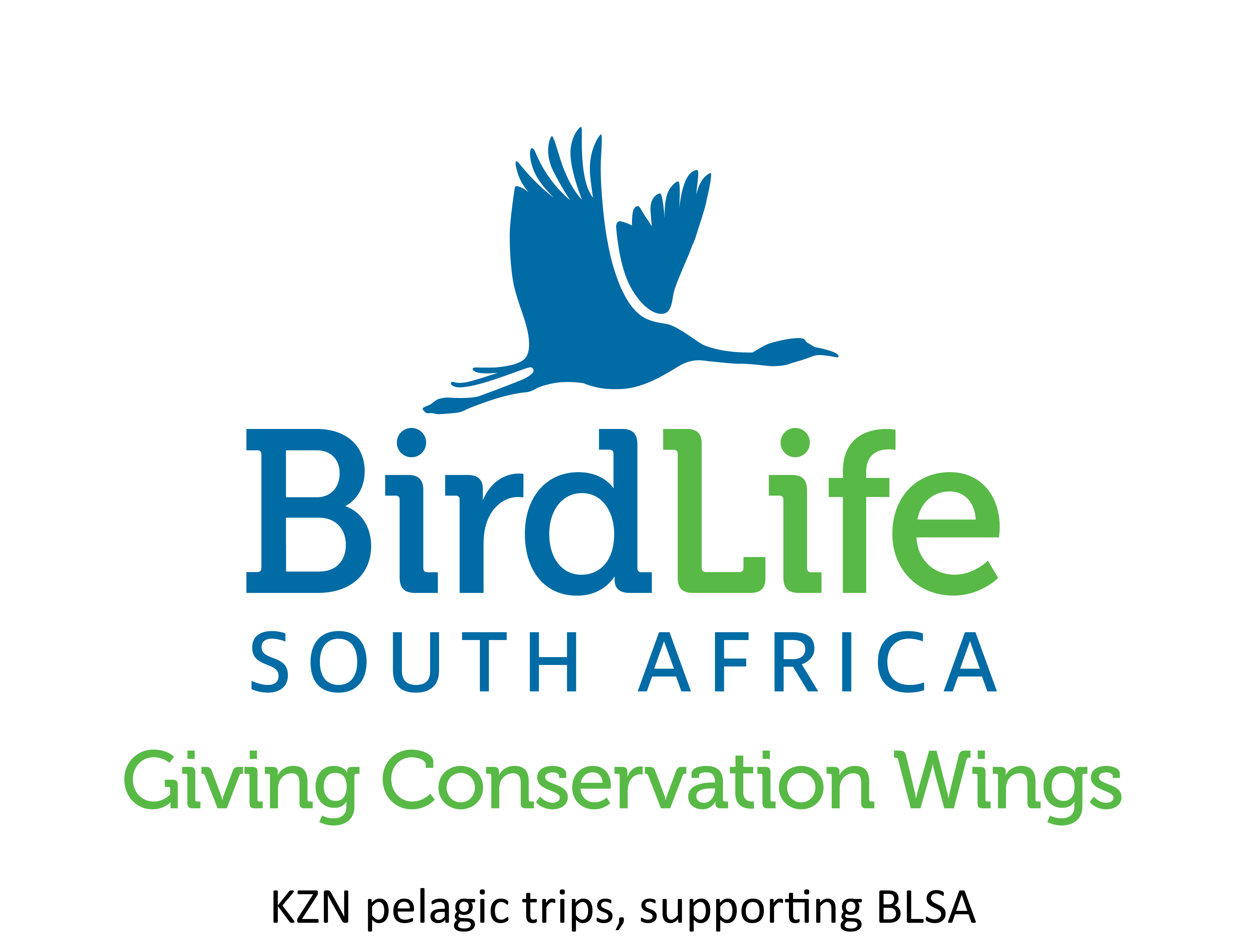 KZN pelagics